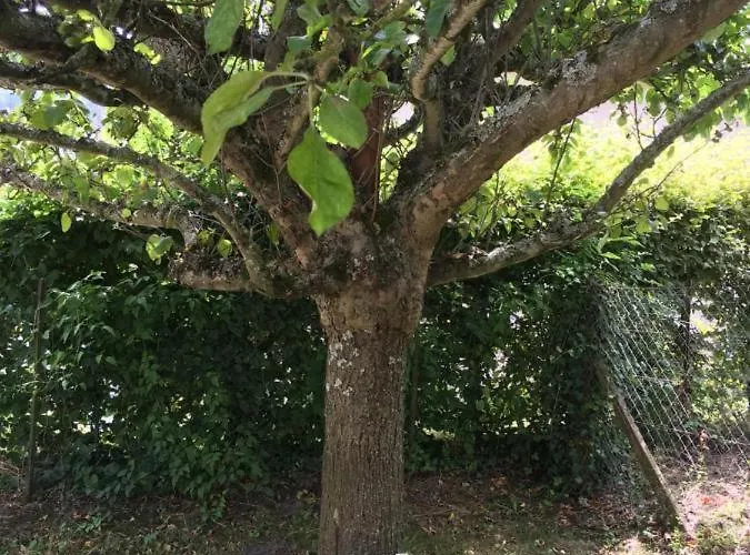 Готель типу 